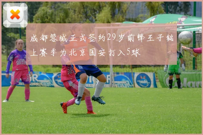 成都蓉城正式签约29岁前锋王子铭上赛季为北京国安打入5球